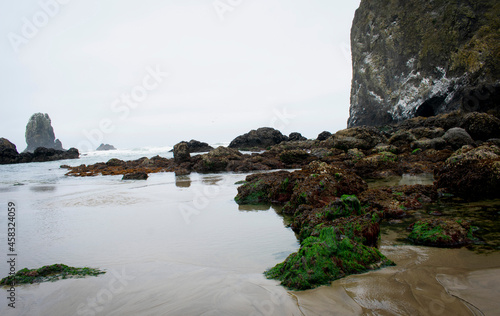 Haystack Rock along the Pacific Ocean at Low Tide
