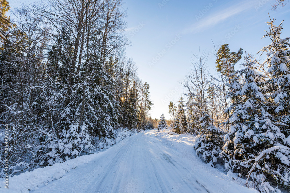 Gorgeous colorful view of sunset on  road in snow forest. Beautiful nature winter background. Sweden.