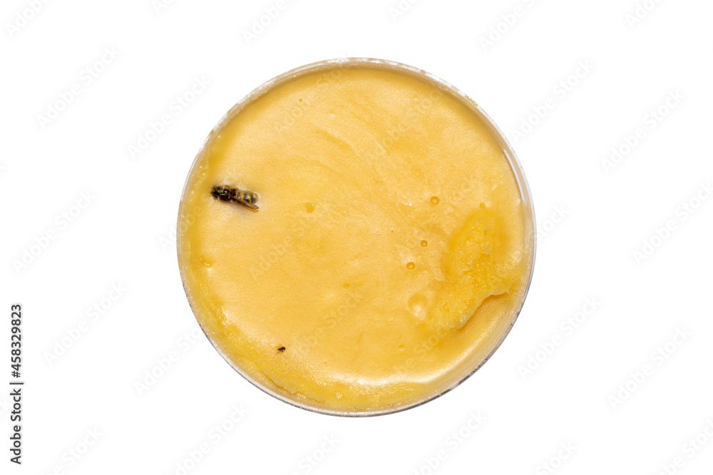 Natural bee honey on a white background.Honey flower background. Natural bee honey on a white background.Honey flower background.