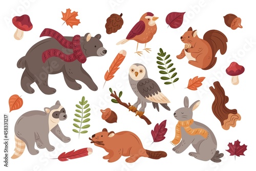 hand drawn autumn forest animals collection vector design illustration