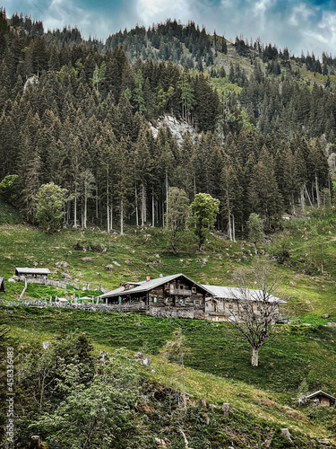 Hütte in Wald