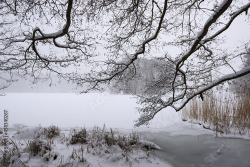 Zima nad jeziorem. Biały śnieg przykrył taflę lodu, gdzieniegdzie widać tropy dzikich, leśnych zwierząt. Jasny słoneczny dzień.