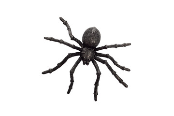 Black rubber spider toy isolated on a white background. Black spider toy