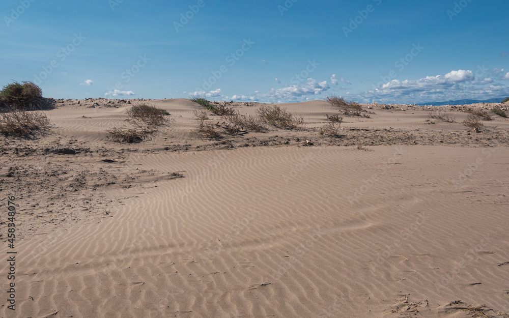 Lonely beach in the delta del ebro, tarragona, spain. The day is cloudy and windy. Lonely beach in the delta del ebro, tarragona, spain. The day is cloudy and windy.