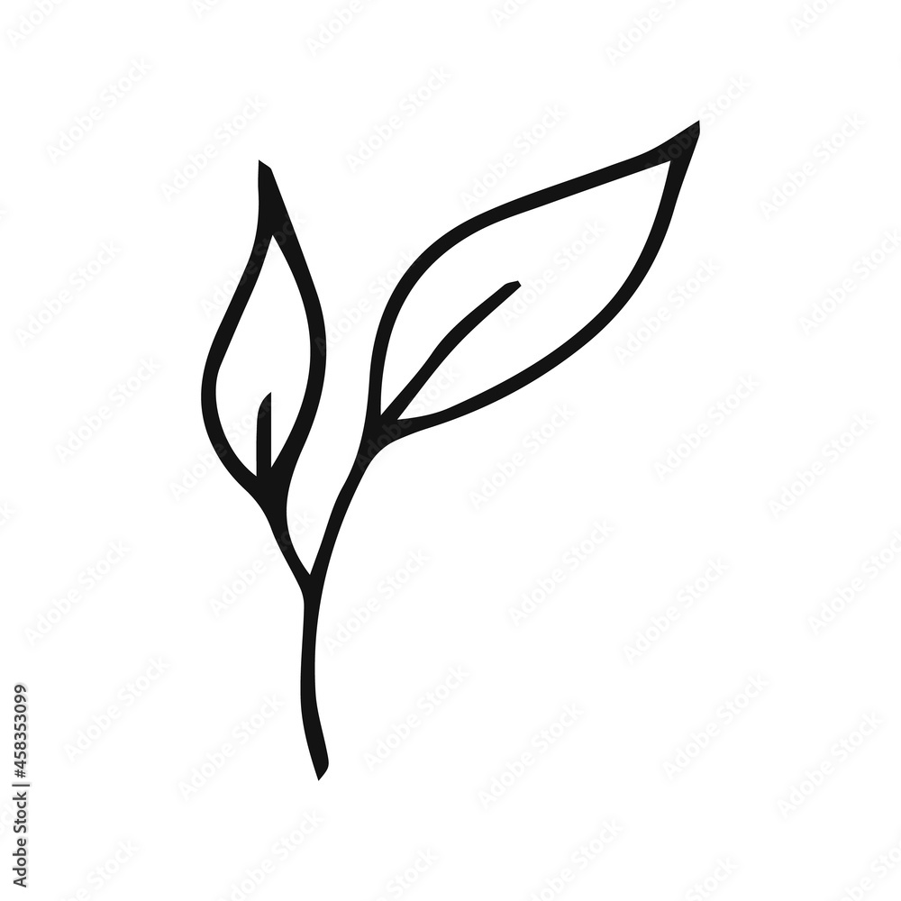 Hand drawn plants outline. Floral and leave element. Line art style isolated on white background. Hand drawn plants outline. Floral and leave element. Line art style isolated on white background.