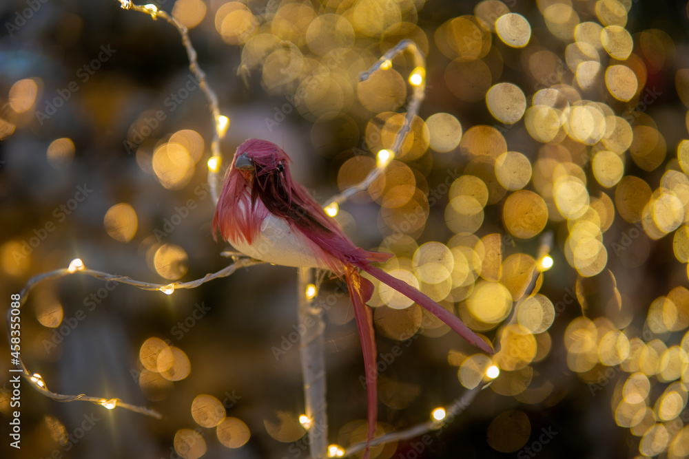 puppet small bird sit in a christmas lights. Christmas installation puppet small bird sit in a christmas lights. Christmas installation