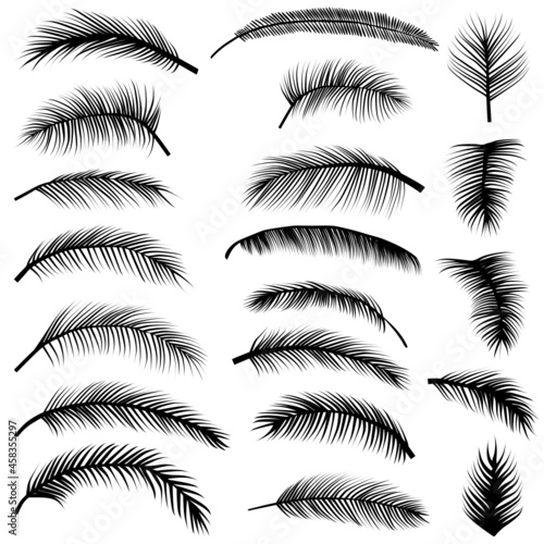 Tropical palm tree fronds svg vector illustration collection