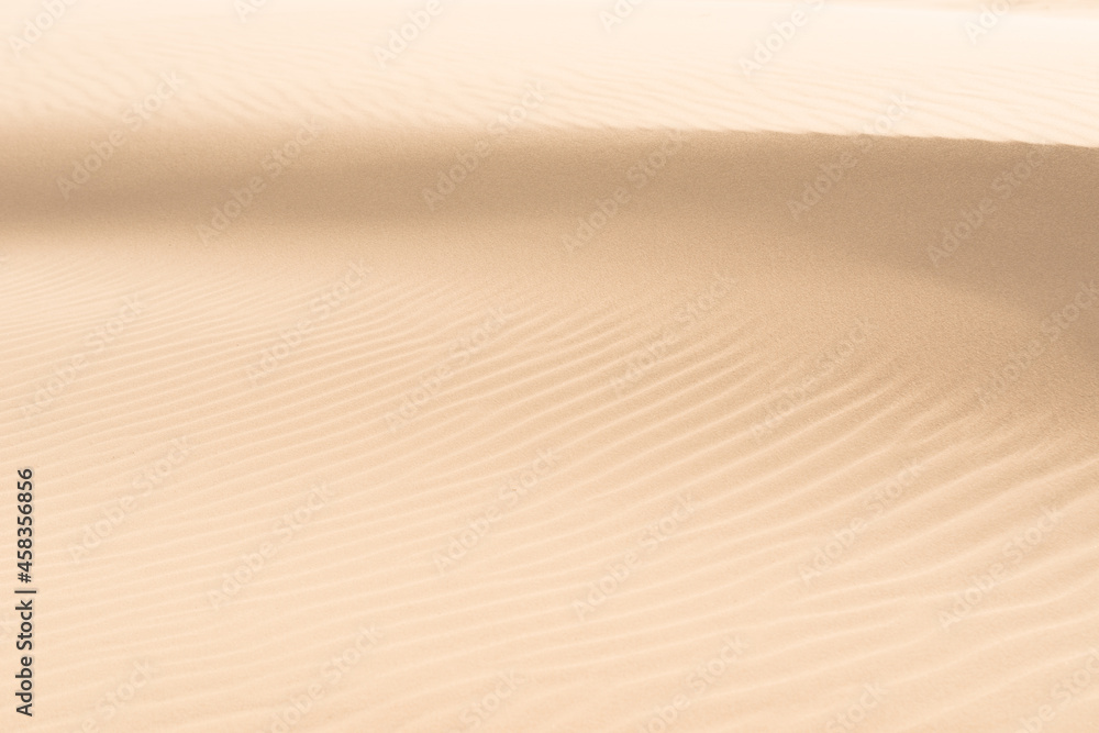 Fine texture and lines of sandy dunes in a desert. Fine texture and lines of sandy dunes in a desert.