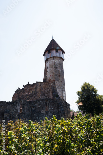 The Cârța Monastery is a former Cistercian monastery in the Țara Făgărașului region in southern Transylvania in Romania, currently an Evangelical Lutheran church belonging to the local Saxon community