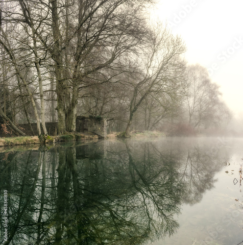Foggy Dull Day at Irish Canal © alan