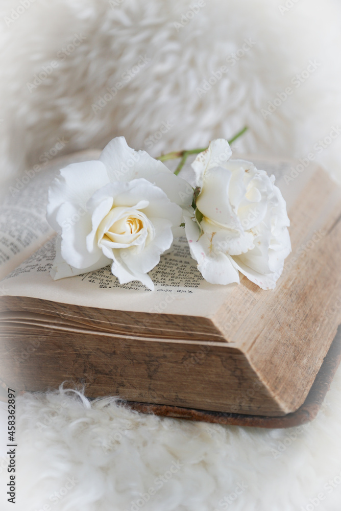 Aufgeschlagenes Buch mit Blume Aufgeschlagenes Buch mit Blume