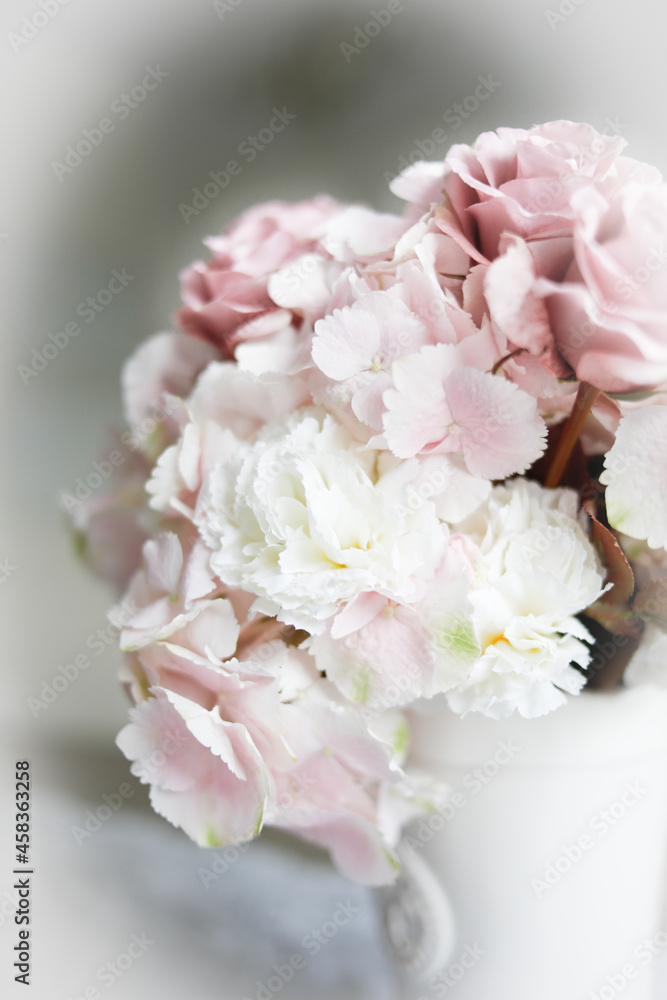 Obraz premium Rosa Blumen