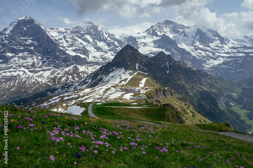 Switzerland, Panoramic view on Eiger, Monch and Jungfraujoch and green Alps around Mannlichen with spring flowers