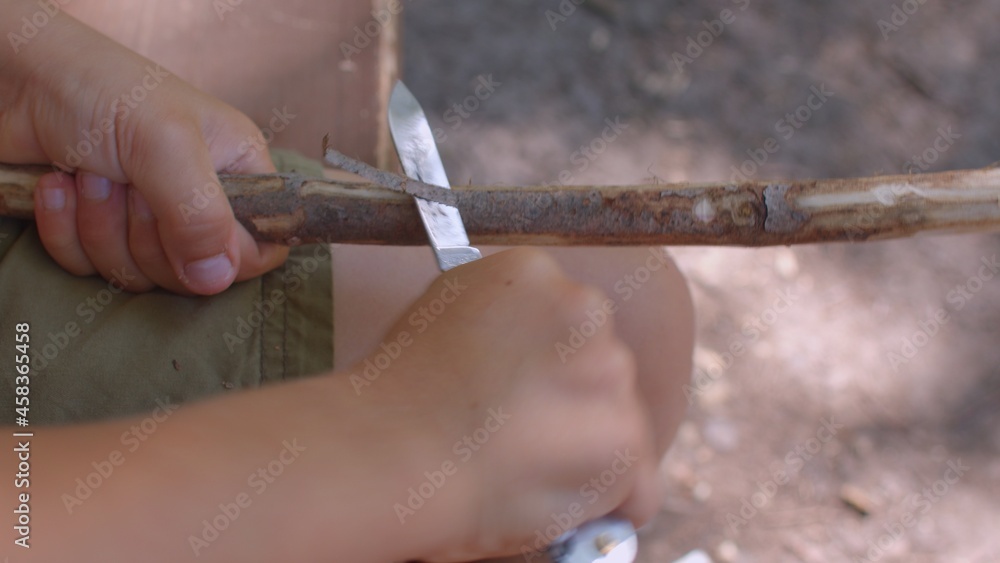Child hand uses a penknife to remove the bark from a stick. Close up. Forest school helps children to grow in confidence as a result of the freedom, time and space they are given in their learning.  - obrazy, fototapety, plakaty 