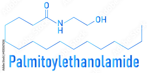 Palmitoylethanolamide (PEA) drug molecule. Skeletal formula.