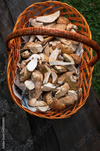 raw porcini mushrooms in a wooden basket, shallow depth of field