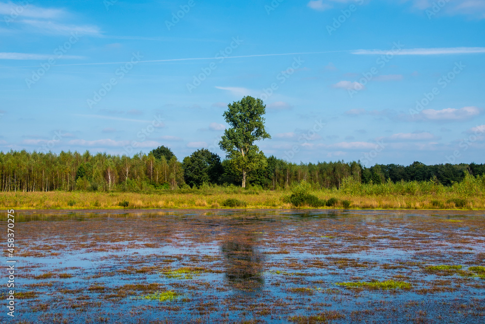 Flooded Dutch polder area next to a dike overgrown with grass.