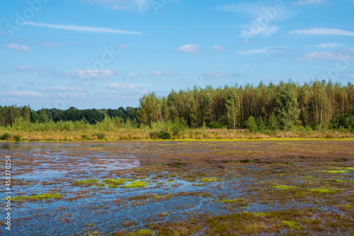 Flooded Dutch polder area next to a dike overgrown with grass.