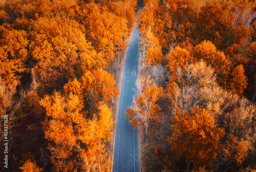 Aerial view of road in beau...