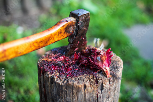 A bloody chicken head is lying on a old stump. Slaughter of poultry. An axe stuck in a stump. photo