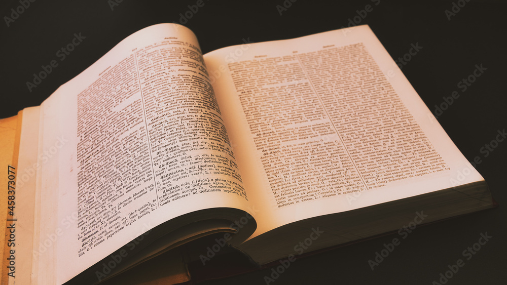 Fototapeta premium Ancient Greek, Latin Dictionary with soft yellow dramatic light, Education, knowledge concept