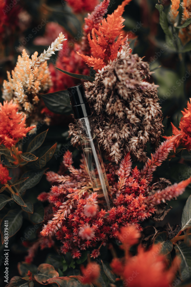 Mockup of bottles with perfume on the autumn seasonal exotic red live flower growing in the garden. Concept for perfumery and aromatherapy Mockup of bottles with perfume on the autumn seasonal exotic red live flower growing in the garden. Concept for perfumery and aromatherapy