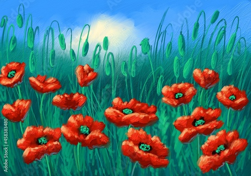 Oil paintings landscape, poppy flowers in the field