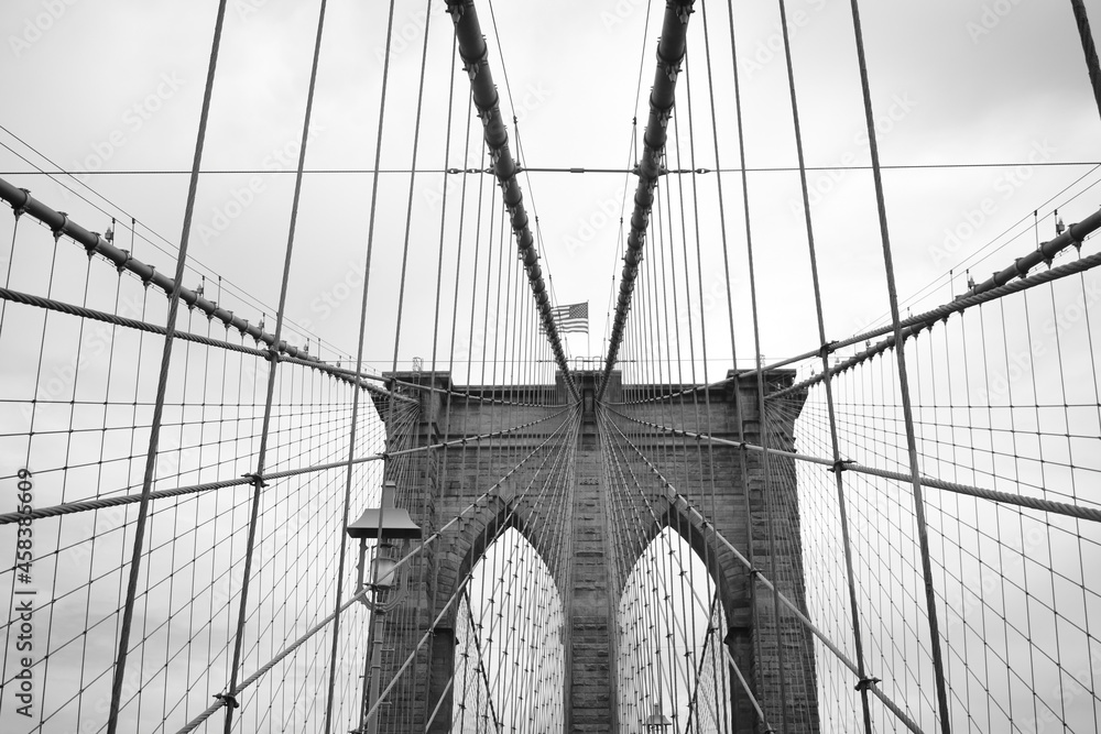 Obraz premium cabelled 