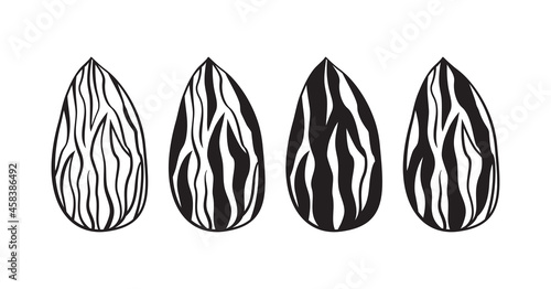 Almond silhouettes vector icon, nuts seed set isolated on white background. Food illustration