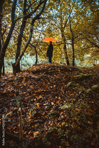 senior woman standing with an orange umbrella on a mound of dirt under the trees of a forest on a rainy autumn day