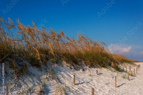 Fototapeta Naklejka Na Ścianę i Meble -  Sand Dune on Pensacola Beach, Florida