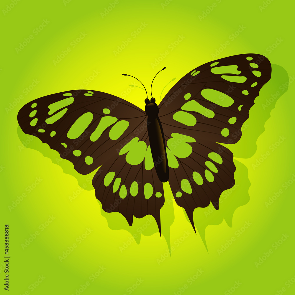 Bright butterfly on a colored background Bright butterfly on a colored background