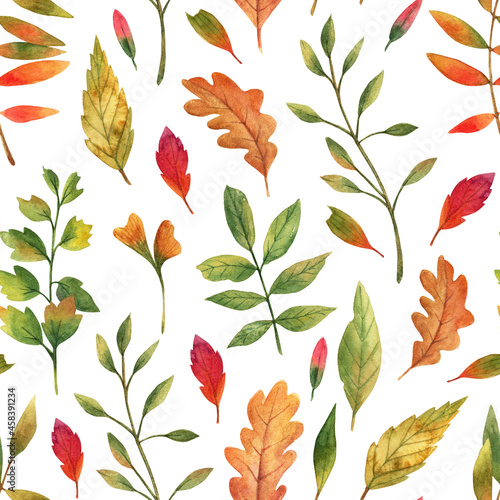 Pattern with autumn leaves