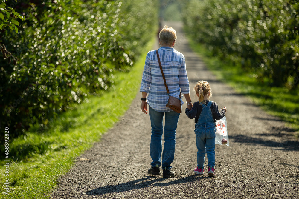 A grandmother and her granddaughter picking apples
