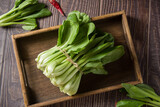 Pak Choi (Bok Choy) or Brassica chinensis green vegetable on wooden background
