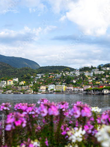Lake Lucerne, Switzerland, Hills, Lake, Water, Flowers, Flowers, Pink Flowers, Holiday, Vacation, Vierwaldstättersee, Tourism, Lucerne, Landscape, Nature, Mountain, Scenic