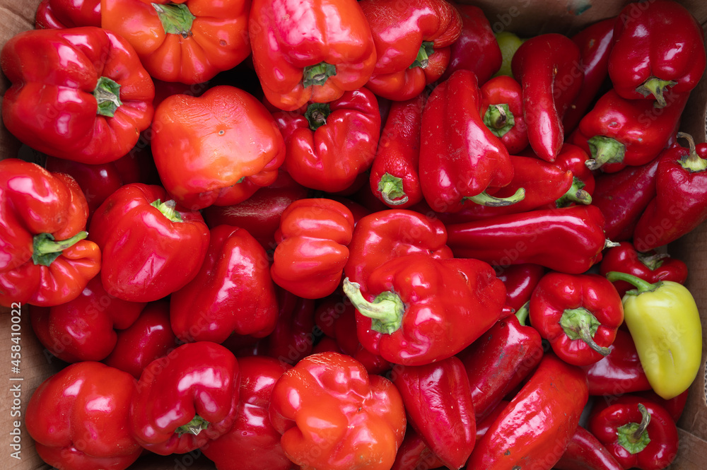 Fresh red sweet pepper bell with green stub, top view Fresh red sweet pepper bell with green stub, top view