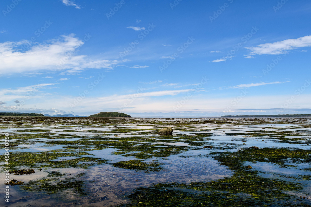 St Lawrence Low Tide St Lawrence Low Tide