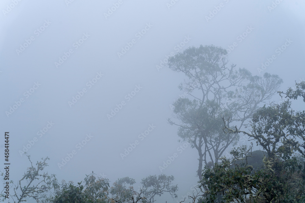 The Misty Mountains Cold of Choachi, Colombia
