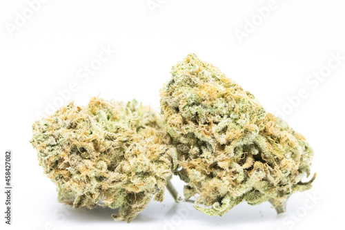 Pink Hammer - Cannabis 2 Buds