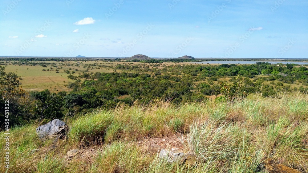 Obraz premium grass and sky