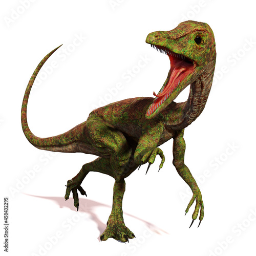 Compsognathus longipes attack  small dinosaur from the Late Jurassic period  isolated on white background