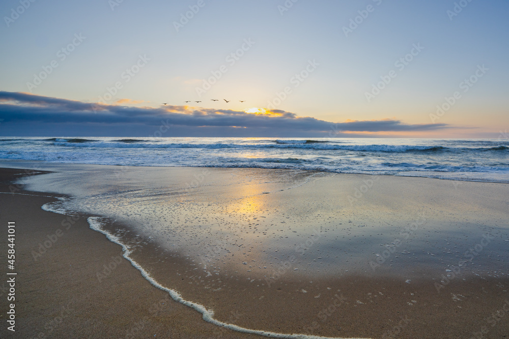 Tropical beach sunset and silhouette of flying birds. Beautiful blue sea, cloudy sky in light blue and pink colors, and sun setting down the horizon.