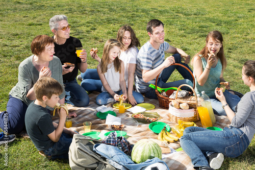 Joyful family of different ages sitting and talking on picnic