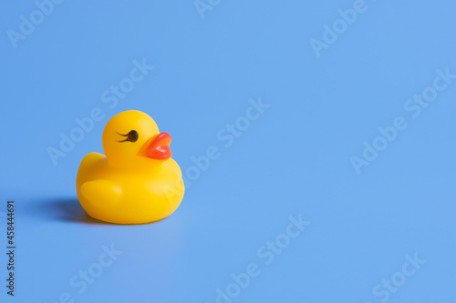 yellow rubber toy duck on blue background
