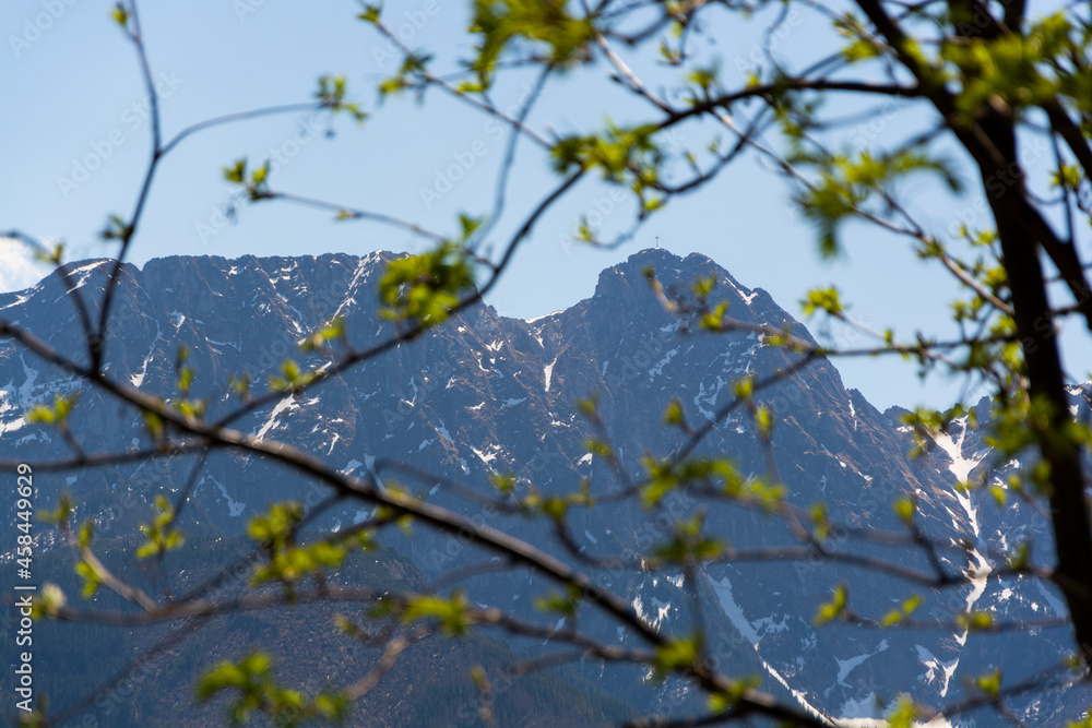 Góry Tatry widok na Giewont przez liście drzew Góry Tatry widok na Giewont przez liście drzew