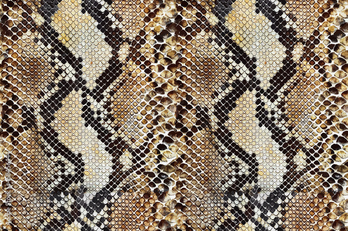 background of snake skin texture pattern seamless