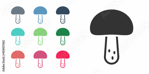 Black Mushroom icon isolated on white background. Set icons colorful. Vector © Iryna