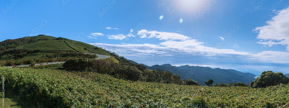 伊豆半島の遊歩道（伊豆山稜線歩道、達磨山周辺）からの眺望