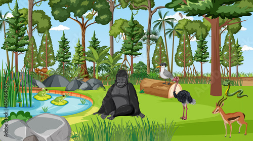 Photography Forest scene with different wild animals